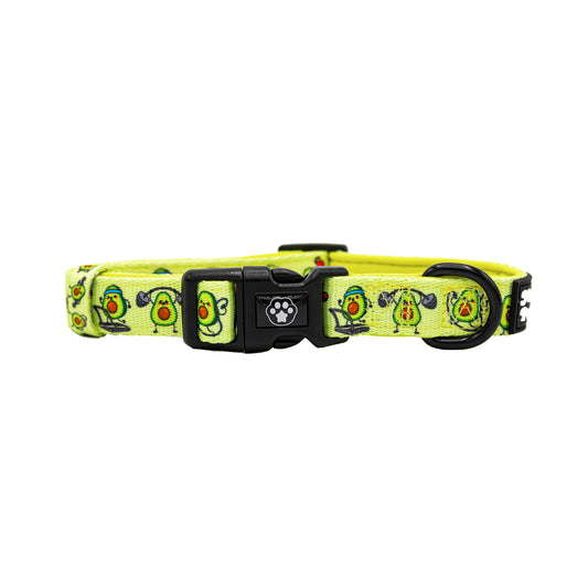 DOG ADJUSTABLE COLLAR - AVOCARDIO