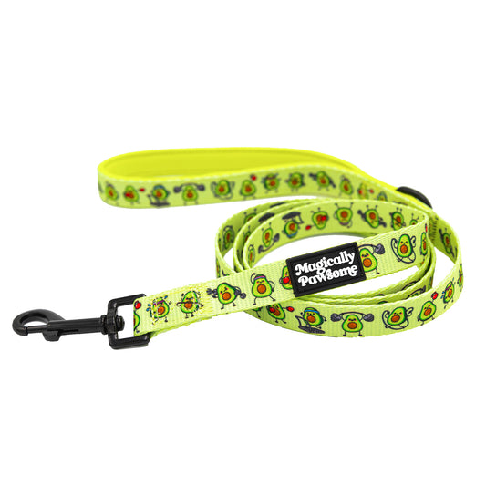 DOG LEASH - AVOCARDIO