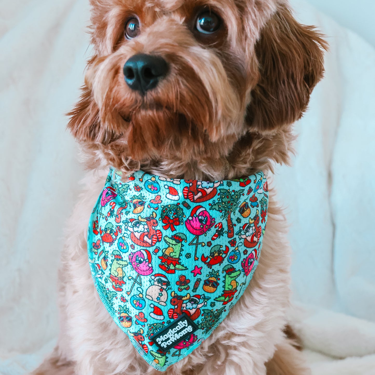 BANDANA - SANDY CLAUS