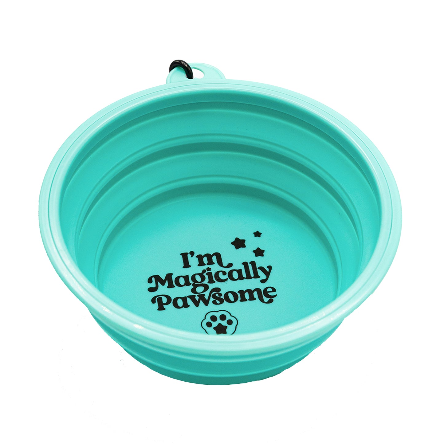 COLLAPSIBLE BOWL - TURQUOISE