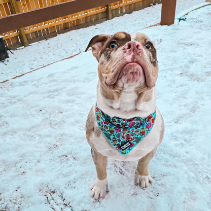 BANDANA - SANDY CLAUS