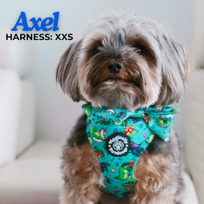 DOG ADJUSTABLE HARNESS -  SEE YOU LATER, ALLIGATOR!