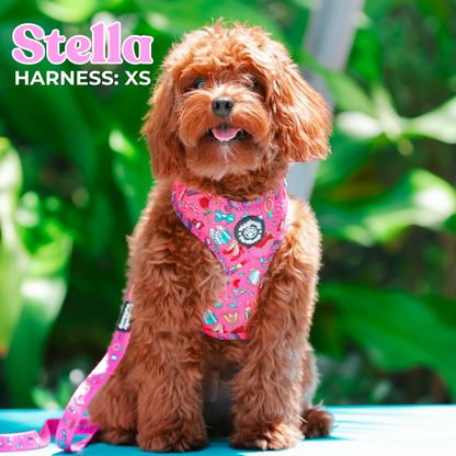 DOG ADJUSTABLE HARNESS - CLASSY BAD-ASSY