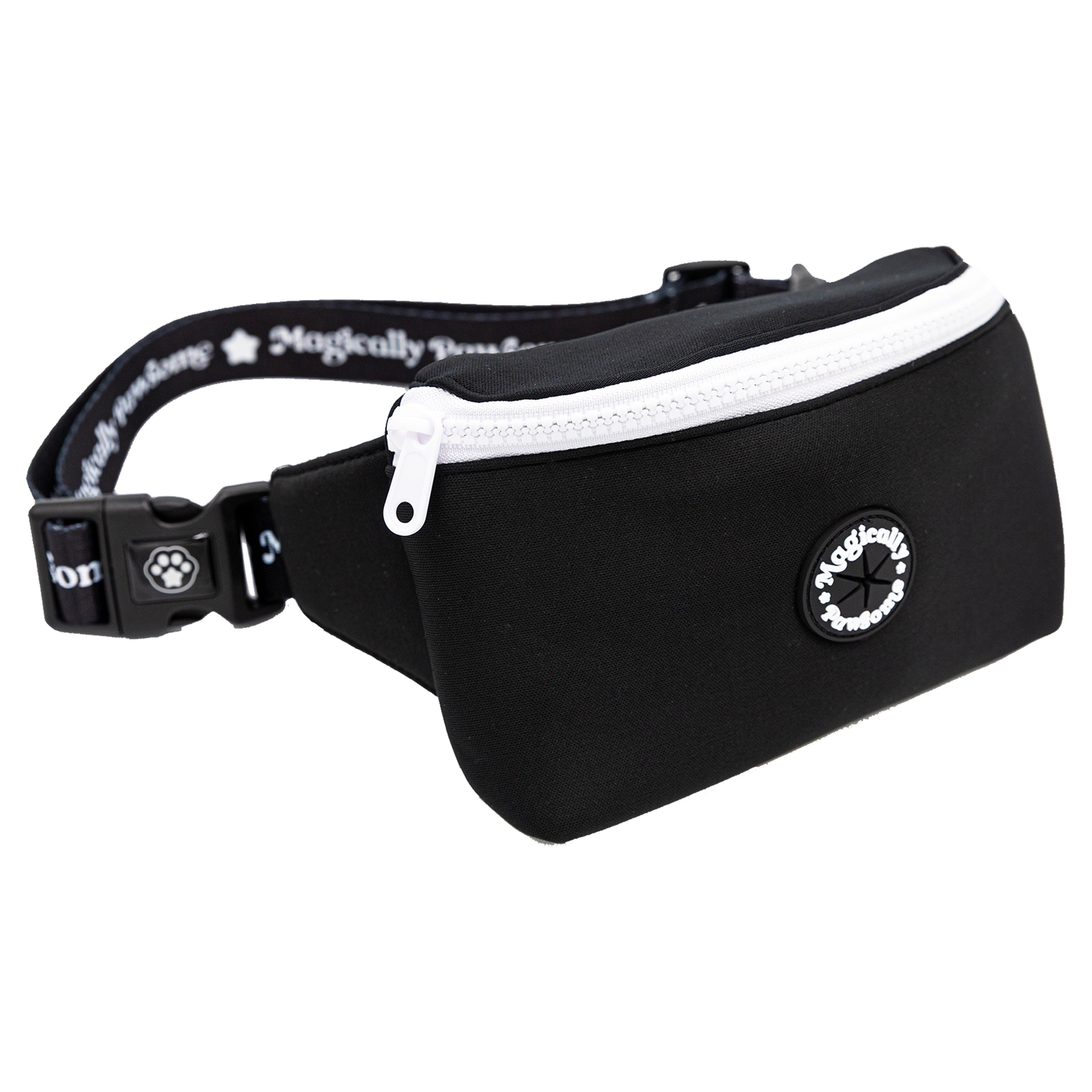 FANNY PACK