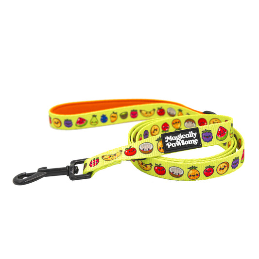 DOG LEASH - TUTTI FRUTTI