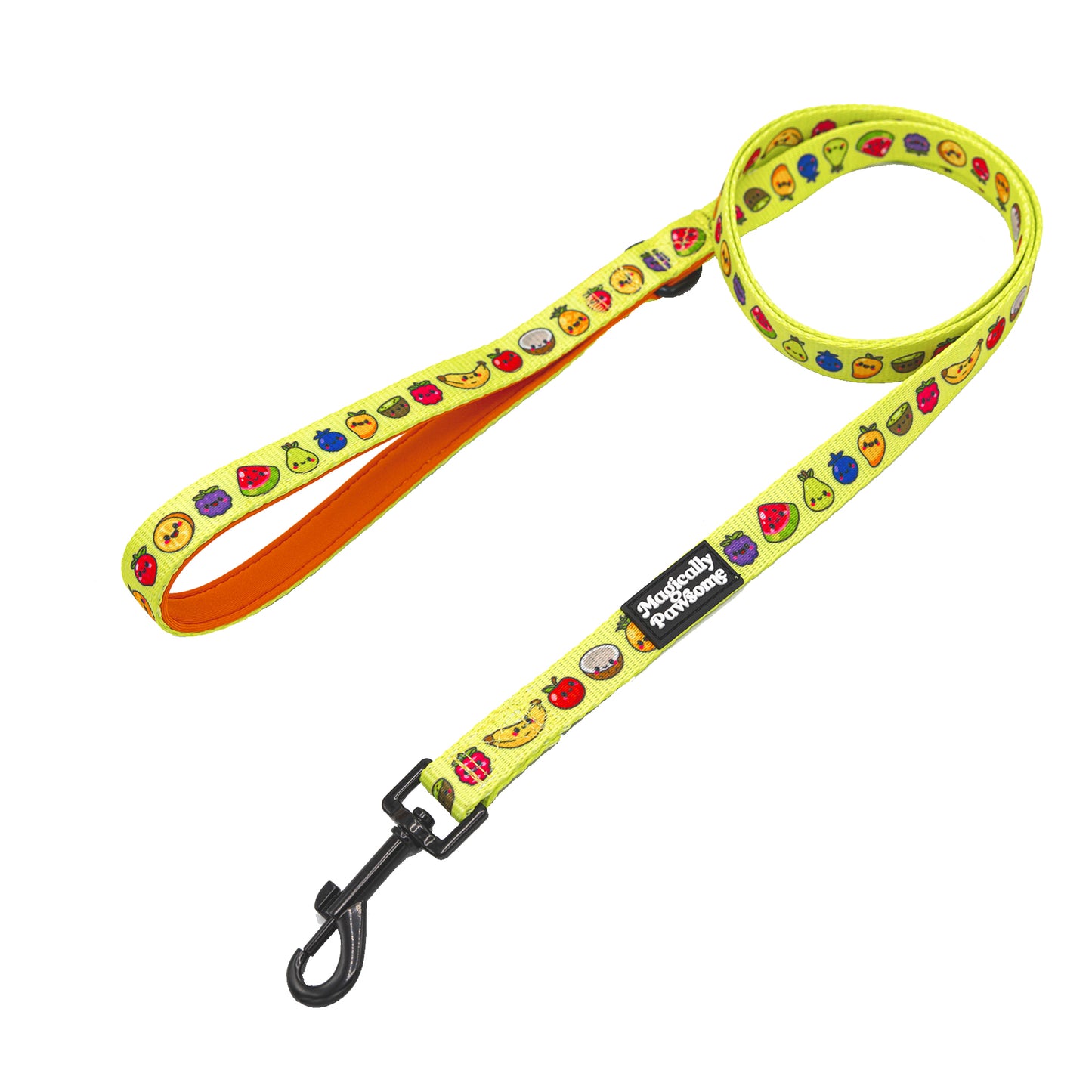 DOG LEASH - TUTTI FRUTTI